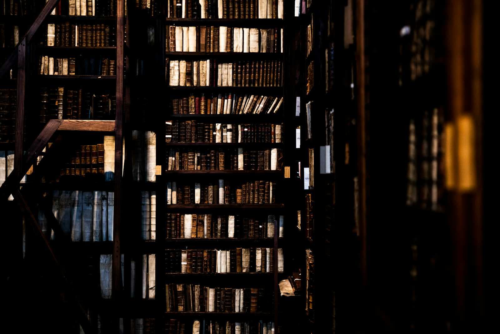 The Curated Bookshelf for 2024